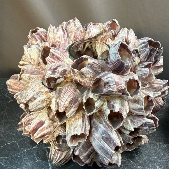 Decorative Barnacle Clusters - Purple and Cream sconces candle holders - Picture 3 of 15